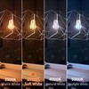 Decoaui E26 ST64 Vintage Edison Light Bulbs, Smoky Grey Coated