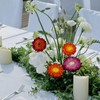 Pack of 30-40 dried flower heads for wedding and autumn