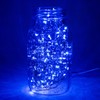 Hometown Evolution, Inc. Blue Fairy Lights - Battery Operated -