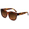 Samba Shades Bifocales Readers - anteojos de sol redondas Marlene