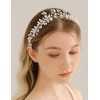 Teyglen Diadema de Cristal Color Champán para Boda, Sencilla, con
