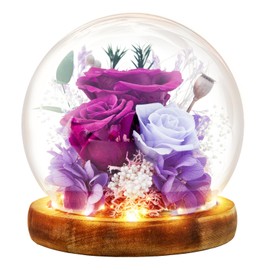 INYPTROPIC Preserved Flowers Birthday Gifts for Women Forever Rose Gifts for Mom Grandma Wife Valentines Mothers Day Christmas Anniversary Eternal Light Up Purple Roses in Glass Dome