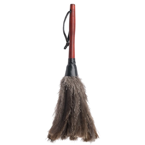 Redecker Ostrich Feather Duster with Varnished Wooden Handle, Small, 13-3/4-Inches