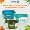 Himalaya Herbals Intensive Moisturizing Cream with Natural Vitamin E With