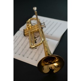 Journal: 6x9 Lined Trumpet themed softcover notebook to record your daily thoughts, insights, and experiences