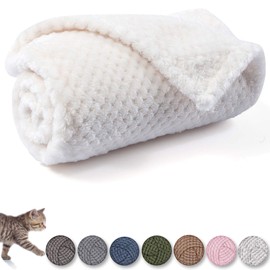 Dog Blanket or Cat Blanket or Pet Blanket, Warm Soft Fuzzy Blankets for Puppy, Small, Medium, Large Dogs or Kitten, Cats, Plush Fleece Throws for Bed, Couch, Sofa, Travel (L/40" x 48", Ivory)