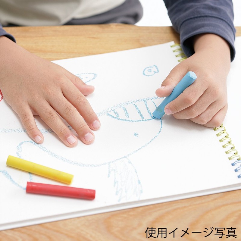 Maruman S310-02 F0 Art Spiral Sketchbook, Thick Drawing Paper, Blue,