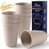 HOTEC 8-Pack 15oz Plastic Cups, BPA-Free Reusable Drinking Cup set,
