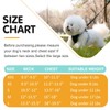 Dog Harness & Leash Set - No Pull Soft Breathable