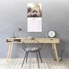 Tibetan Terrier Calendar 2025 | 12 months | with FREE