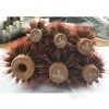 Charmino 차미오 돈모 포킹 헤어브러쉬 7호 정품 사 은품 有 Cha Mi Oh Donmo Forking Hairbrush 7 Genuine with Gift