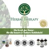 Herbal Therapy Herbal Therapy Wohlfhl Hagebuttensirup, Nahrungserg?nzungsmittel mit Kr?uterextrakten, 200ml
