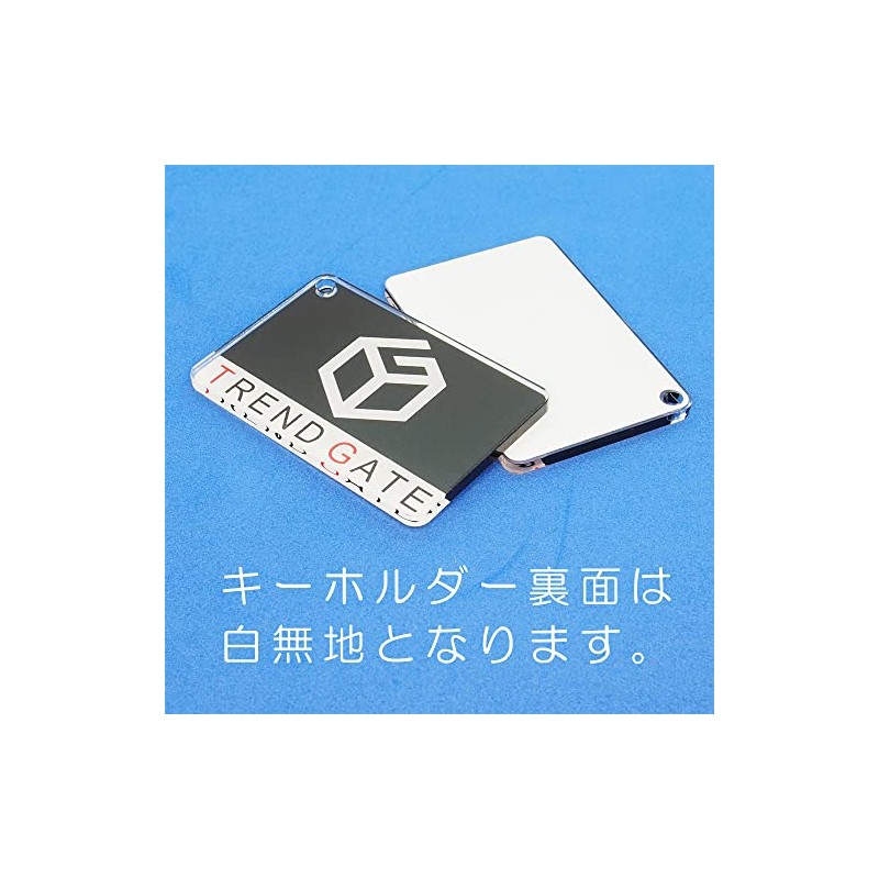 TrendGate Acrylic Keychain, Cat at Home, Keychain, Fun, Fun, Convenient,