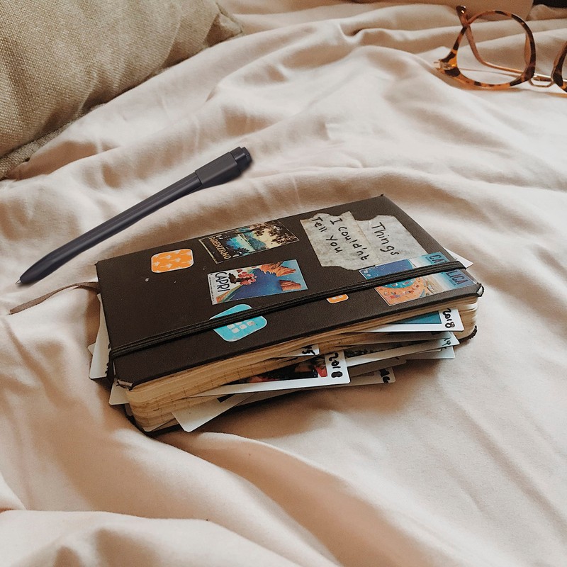 Moleskine QP062EXPB20 Notebook, Classic Notebook, Expanded (400 Pages), Hard Cover,