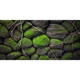 AWERT 36x20 inches Stone Aquarium Background Rock Fish Tank Background Rocky Terrarium Background Vinyl