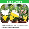 36 Pcs Classic Sticky Traps for Fungus Gnat (Plants), Fruit