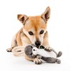 GRRREEN Arctic Collection Dog Toys | Small Sized Artie The