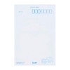 Sanrio CNJSP 27-5 686107 Message Card Summer Postcard Cinnamoroll Miruku