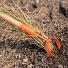 A.M. Leonard Hoop Hoe (4-Inch Diameter Head with 60-Inch Hardwood