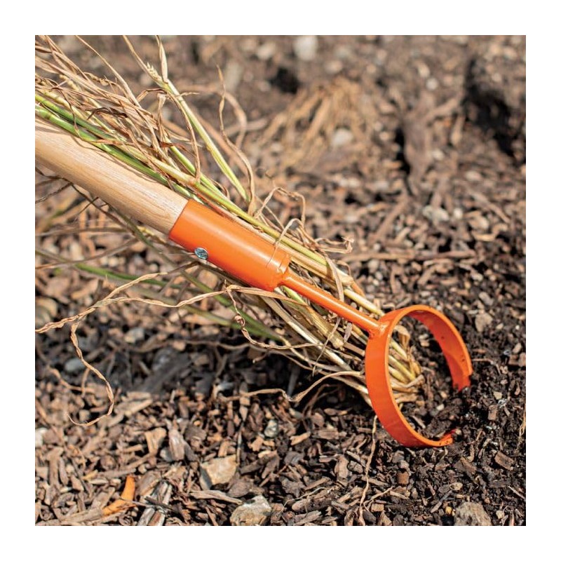 A.M. Leonard Hoop Hoe (4-Inch Diameter Head with 60-Inch Hardwood