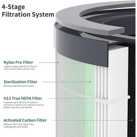 TR-8080 Replacement Filter Compatible with Dreamegg TR-8080 Purifier, 4-in-1 Filtration with True HEPA Filter, 2 Pack
