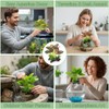 XLTXWD 4Pcs Reptile Accessories, Vivarium Decoration with Three Artificial Plants,