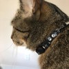 PUPTECK Breakaway Cat Collar with Bell Charm, 2 Packs Adjustable