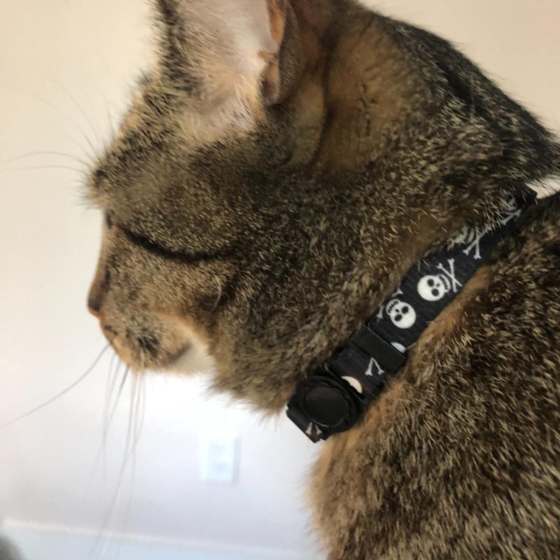 PUPTECK Breakaway Cat Collar with Bell Charm, 2 Packs Adjustable