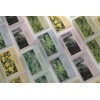 Self-produced products Oil Bio Cellulose Mask Pack Artemisia / Chrysanthemum