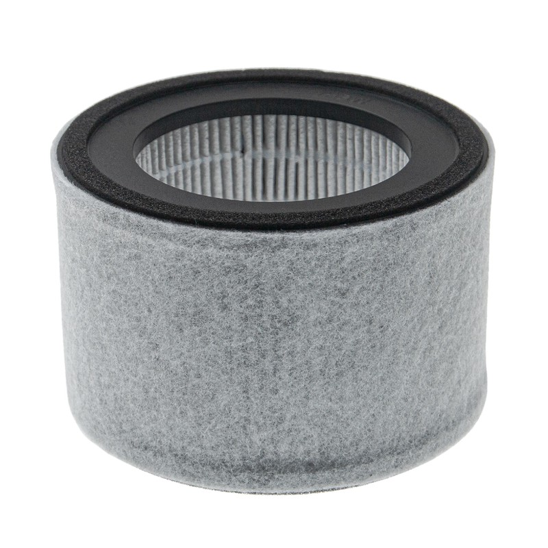 vhbw 2x Filter kompatibel mit Leifheit/Soehnle Airfresh Clean 300, 400