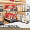 SpaceAid Pull Out Spice Rack Organizer, Heavy Duty Slide Out