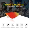 SINSPORT eyewear Sports Sunglasses