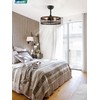 LEDIARY 18 inch Black Caged Ceiling Fan with Light, Bladeless