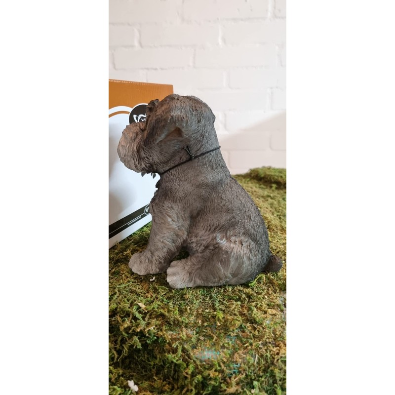 Vivid Arts Pet Pals Miniature Schnauzer Puppy PP-MINS-F