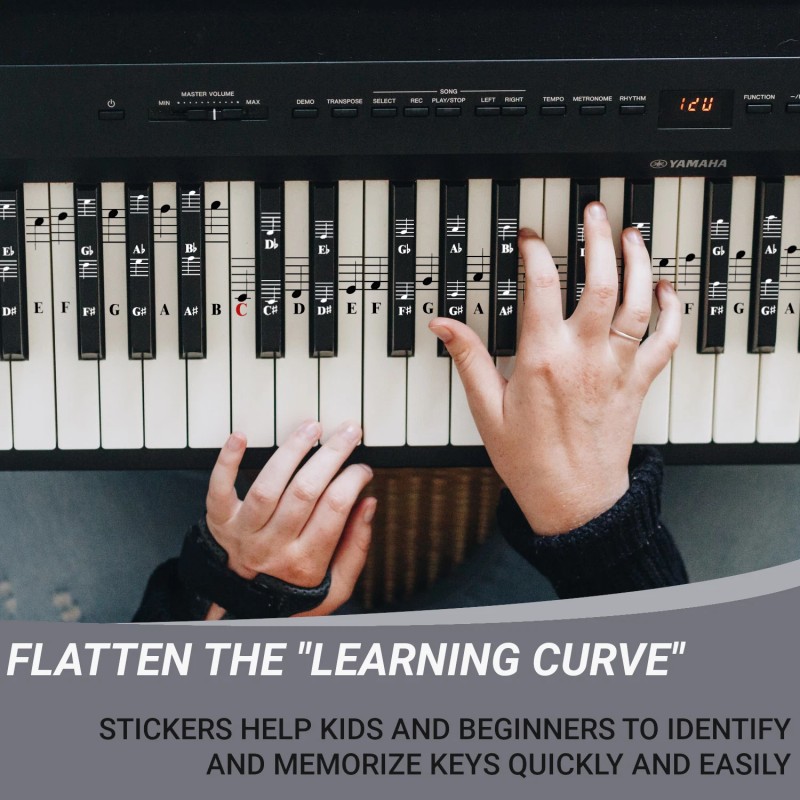 QMG Piano and Keyboard Full Set Stickers for White and