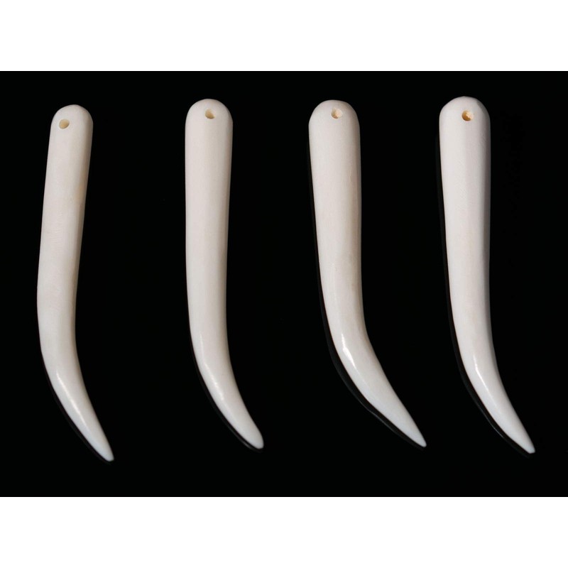 Fly Style Tooth pendant made of buffalo bone – chain