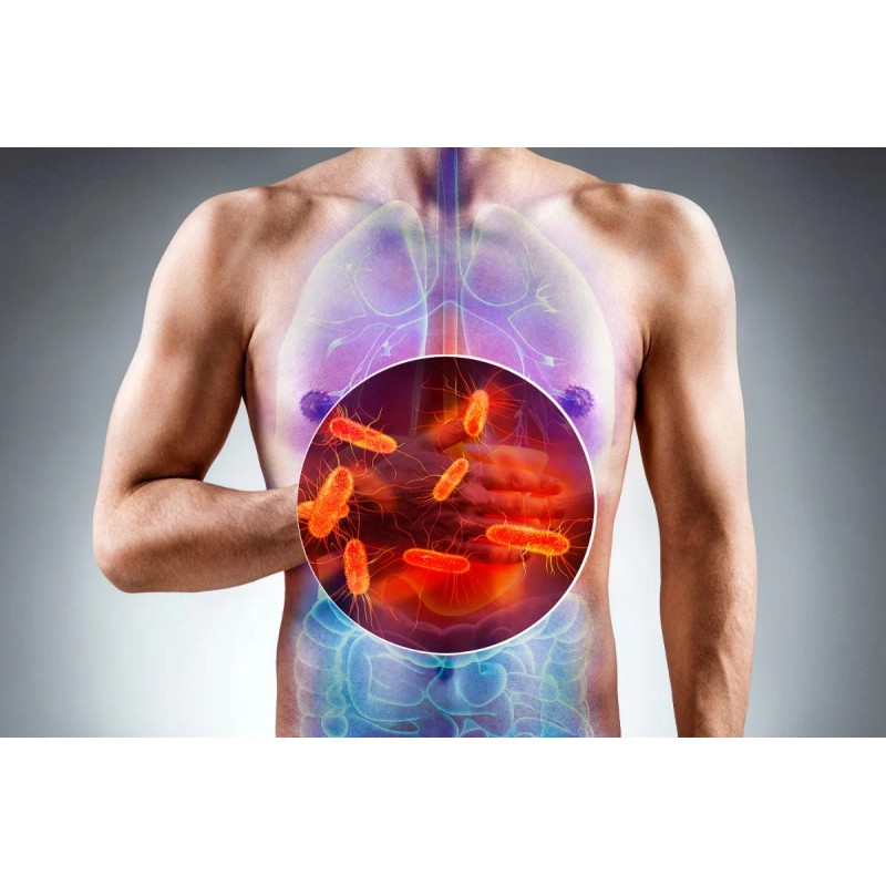 Bacticure 1 Mes - Escudo Probiótico 60 Tomas