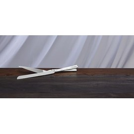 Lenox Set de Cuchillo y Paleta para Pastel Adorn, Acabado Plateado, Motivo de Cintas, Ideal como Regalo
