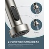 FORIOUS LED Kitchen Faucet with Pull Down Sprayer, Brushed Nickel