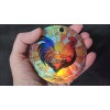 Gulf Coast Laser Graphics Rhode Island Red Chicken Design Holographic