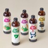 I'm Alive Organic Combucha 315ml Bottle 12 bottles / 아임얼라이브 유기농 콤부차 315ml BOTTLE 12병