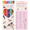 Depesche 12055 Miss Melody Colouring Pencils Set with 10 Colours