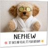 Great Nephew Birthday Card - Cavapoo Dog Relaxing Spa Cute
