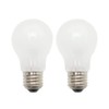 Toyo Lighting & Technology General Incandescent Bulb (Frost) 100 W