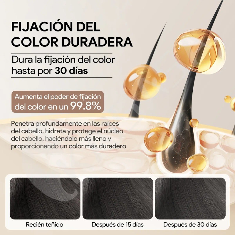 Shampoo Con Tinte De Cubre Canas Natural Jengibre 500ml
