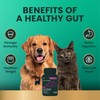 VetriScience Extra Strength Gut Health Easy-Open Capsules, Mega Probiotic and