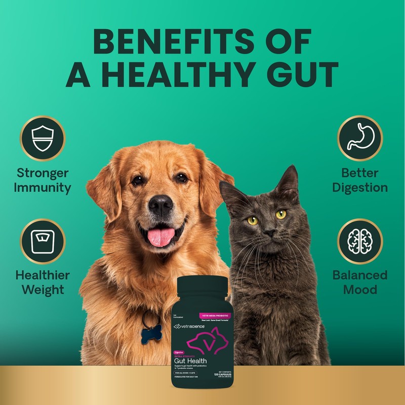 VetriScience Extra Strength Gut Health Easy-Open Capsules, Mega Probiotic and