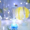 Apol - Juego de 10 luces LED de fibra óptica