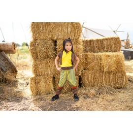 Little Adventures Deluxe Dragon Princess Dress Up Costume (Medium Age 3-5) Deluxe Dragon Princess Dress Up Costume - Machine Washable Child Pretend Play Party Dress-Up