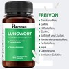 Herboxa Lung Word Multiple Packs (2x) Lung Herb Dietary Supplement